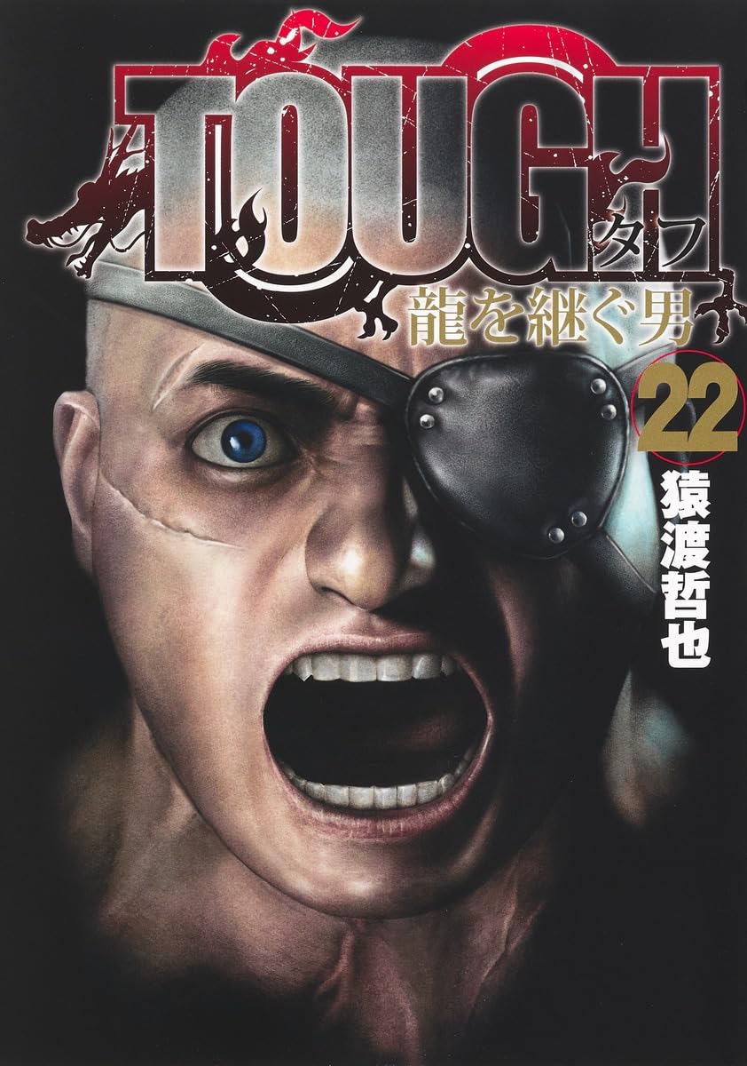 TOUGH 龍を継ぐ男 22 (ヤングジャンプコミックス) | 猿渡 哲也 |本